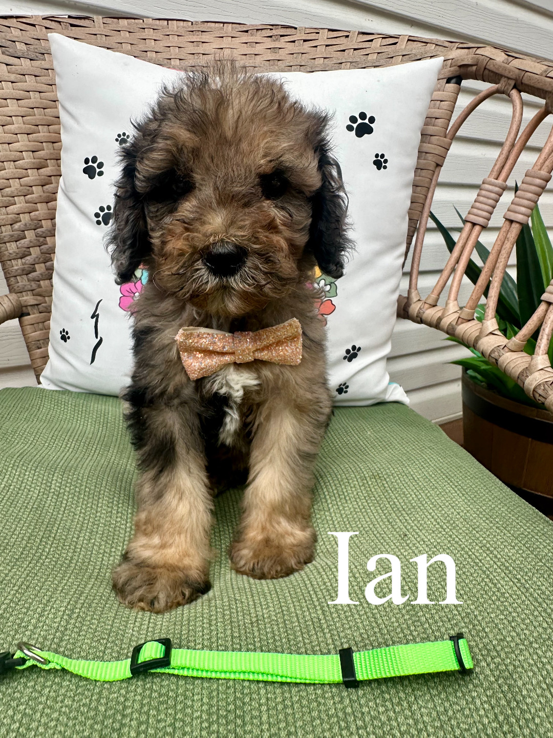 Ian 1